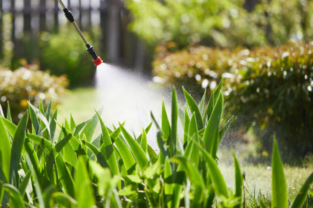 24/7 Emergency Cockroach Control experts in North Pekin, IL